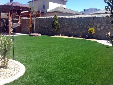 Artificial Grass Photos: Fake Pet Grass Valle Vista California Landscape, Lawns